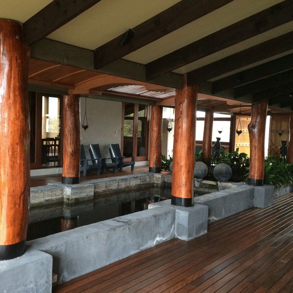 Timber Painters